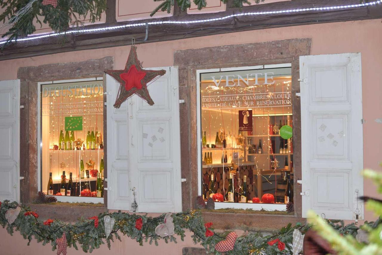 Chez Myriam Bed And Breakfast Studio Parme Colmar Exterior photo