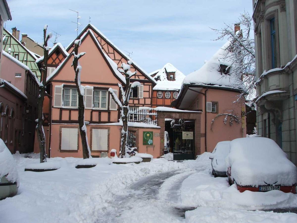 Chez Myriam Bed And Breakfast Studio Parme Colmar Exterior photo
